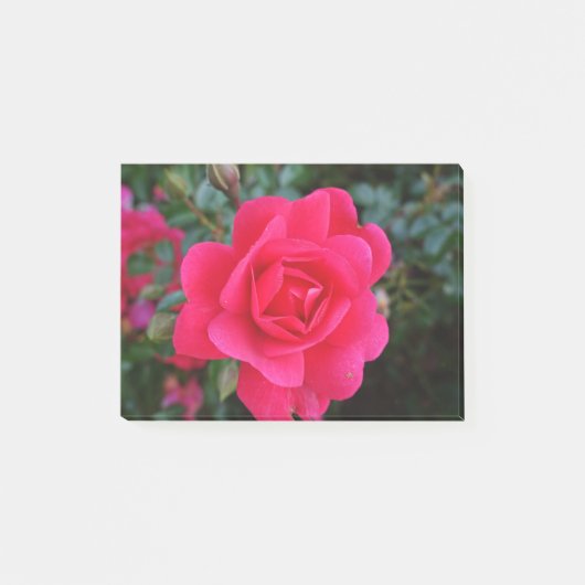 mooie roze roos bloem fotografie post-it® notes (Voorkant)