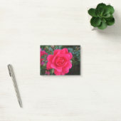 mooie roze roos bloem fotografie post-it® notes (Kantoor)