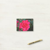 mooie roze roos bloem fotografie post-it® notes (Op bureau)