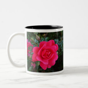 mooie roze roos bloem fotografie tweekleurige koffiemok