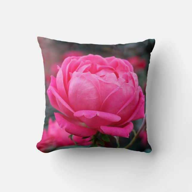 Mooie Roze Roos Bloem Kussen (Voorkant)