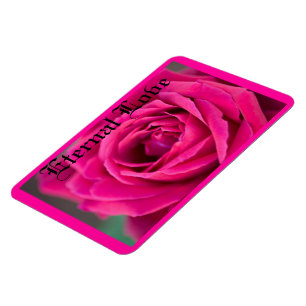 MOOIE ROZE ROOS BLOEM MAGNEET