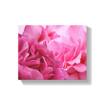 Mooie roze roos bloemige moderne mooie stijlvolle