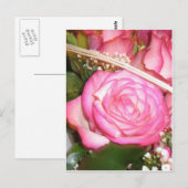 Mooie roze roos briefkaart (Voorkant / Achterkant)