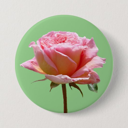 Mooie roze roos close-up cust. BG BUTTON (Voorkant)