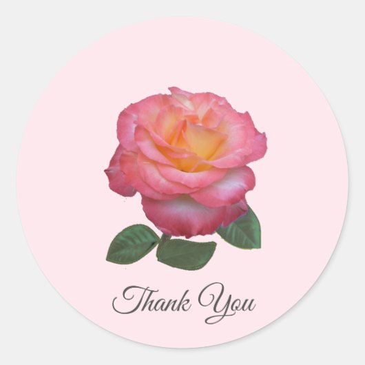 Mooie Roze Roos Dank Je Ronde Sticker (Voorkant)