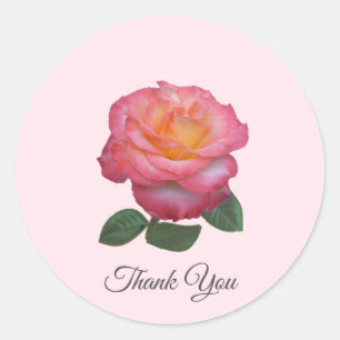 Mooie Roze Roos Dank Je Ronde Sticker