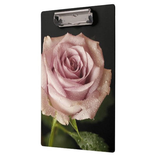 mooie roze roos klembord (Links)