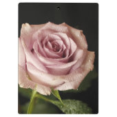 mooie roze roos klembord (Achterkant)