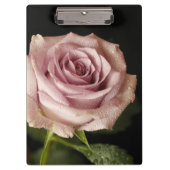 mooie roze roos klembord (Voorkant)