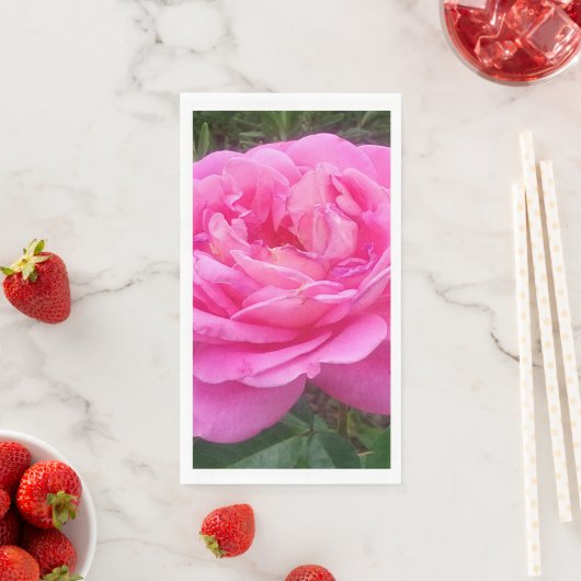 Mooie roze roos 'Leonardo da Vinci' bloem Servet (Insitu)