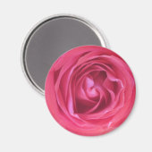 Mooie Roze Roos Magneet (Voorkant / Achterkant)