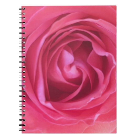 Mooie Roze Roos Notitieboek (Voorkant)
