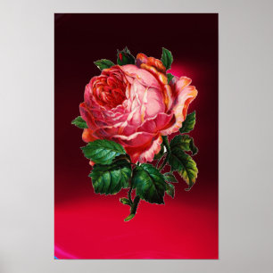 MOOIE ROZE ROOS POSTER