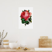 MOOIE ROZE ROOS POSTER (Keuken)
