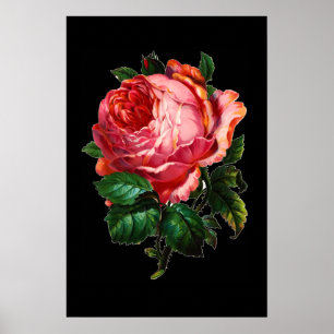 MOOIE ROZE ROOS POSTER