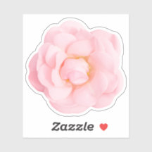 Mooie roze roos stickers