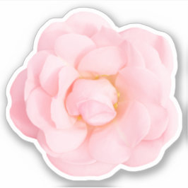Mooie roze roos stickers