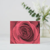 Mooie roze roze bloem foto briefkaart (Staand voorkant)