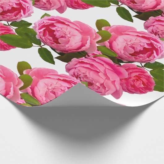 Mooie roze roze bloemen op witte vlotten of cadeaupapier (Hoek)