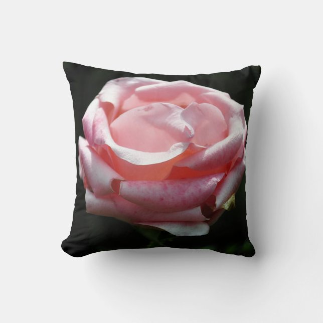 Mooie roze roze close-up kussen (Voorkant)