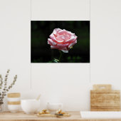Mooie roze roze close-up poster (Keuken)