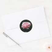 Mooie roze roze close-up ronde sticker (Envelop)