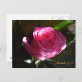 Mooie roze roze kaart (Voorkant / Achterkant)