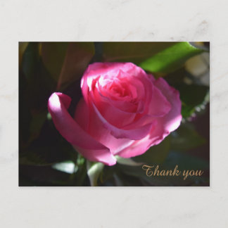 Mooie roze roze kaart