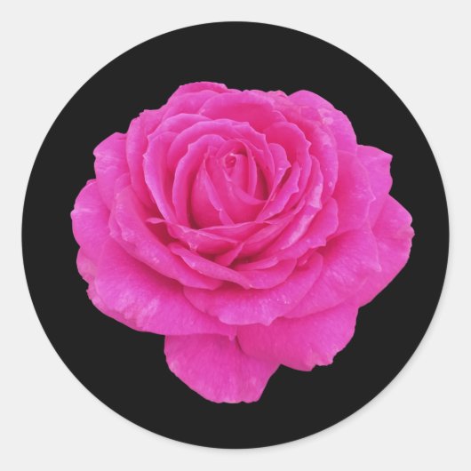 Mooie roze roze roos ronde sticker (Voorkant)