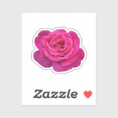 Mooie roze roze roos sticker (Vel)