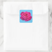 Mooie roze roze roos vierkante sticker (Tas)