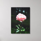 Mooie Roze Roze Roze Canvas Afdruk (Voorkant)