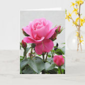 Mooie Roze Roze Roze Kaart (Gele Bloem)