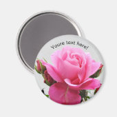 Mooie Roze Roze Roze Magneet (Voorkant / Achterkant)