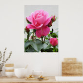 Mooie Roze Roze Roze Poster (Keuken)
