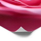 Mooie Roze Roze Roze Poster (Hoek)