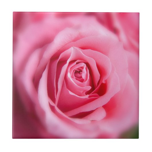 Mooie Roze Roze Roze Tegeltje (Voorkant)