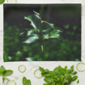 Mooie Roze Roze Roze Theedoek (Gevouwen)