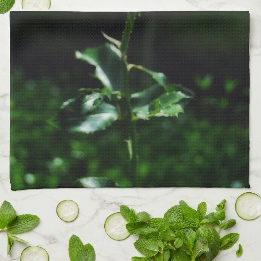 Mooie Roze Roze Roze Theedoek (Gevouwen)