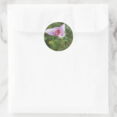 Mooie roze roze Sticker voor het bloeden (Tas)