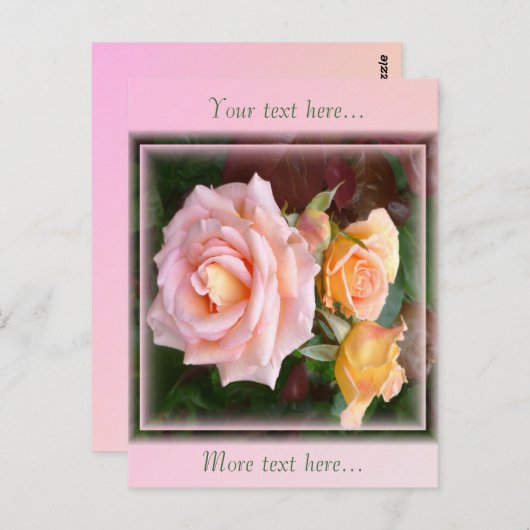 Mooie roze rozen briefkaart (Voorkant / Achterkant)