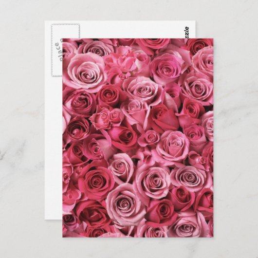 Mooie roze rozen briefkaart (Voorkant / Achterkant)