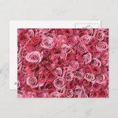 Mooie roze rozen briefkaart (Voorkant / Achterkant)