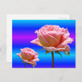 Mooie Roze Rozen Close Up DIY Briefkaart (Voorkant / Achterkant)