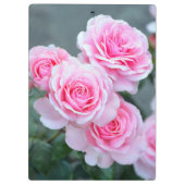 Mooie roze rozen klembord (Achterkant)