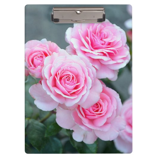 Mooie roze rozen klembord (Voorkant)