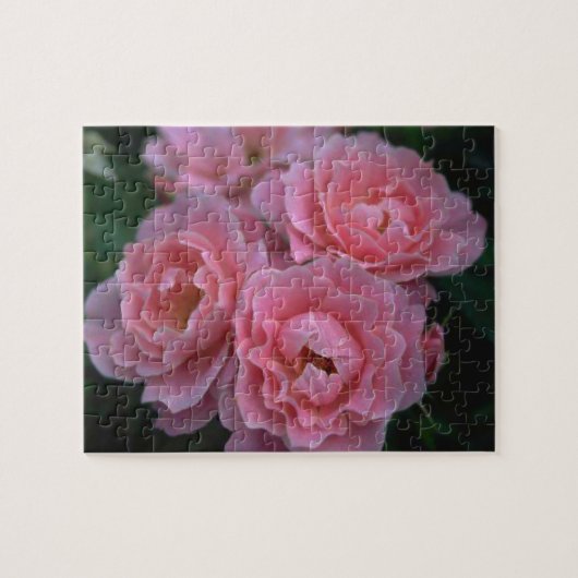 Mooie roze rozen legpuzzel (Horizontaal)