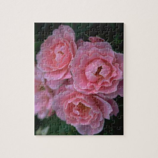 Mooie roze rozen legpuzzel (Verticaal)