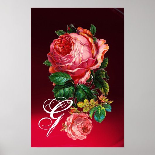 MOOIE ROZE ROZEN MONOGRAM POSTER (Voorkant)
